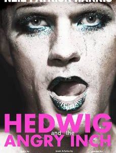 adam townsend hedwig review