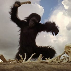 Human Resources tech amazon and walmart complexity future-hr