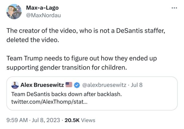 desantis surrogate anti gay ad adam townsend